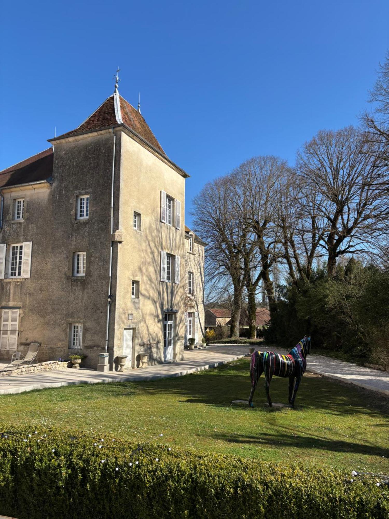 Chateau La Hussardiere Dampierre-sur-Salon エクステリア 写真